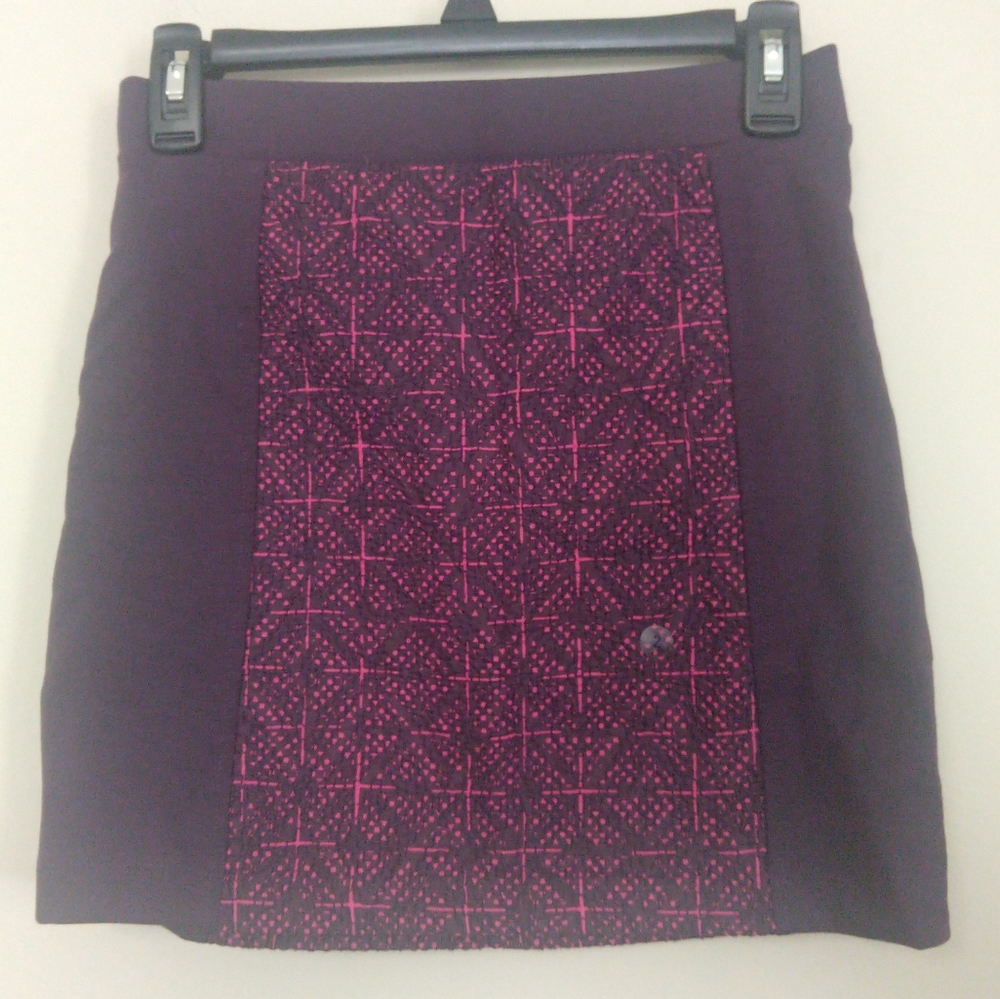 American Eagle Outfitters Embroidered Panel Skirt